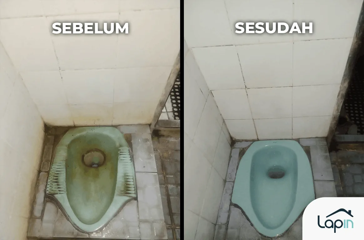 Deep cleaning toilet & WC